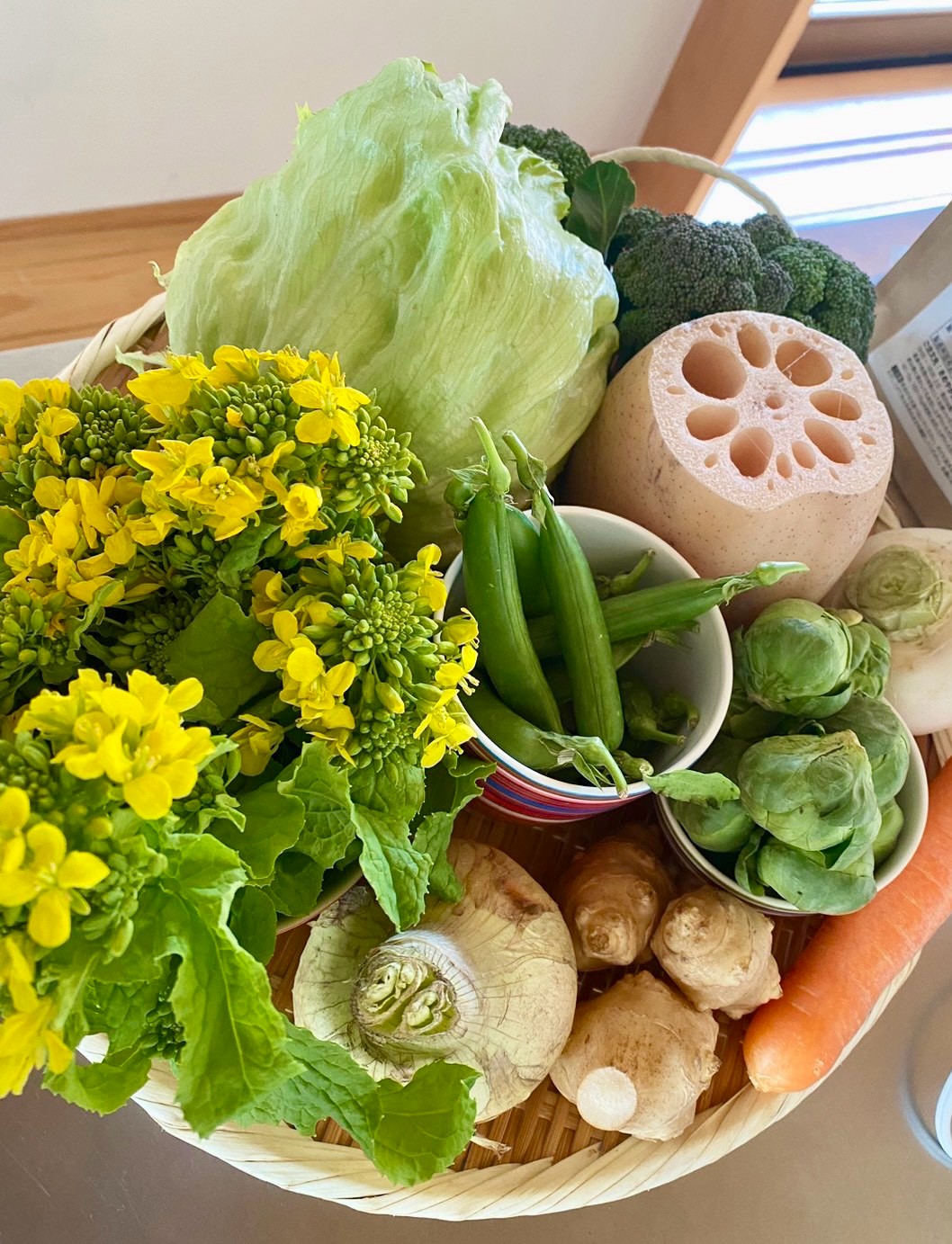 つくばの旬を感じる色とりどりの野菜